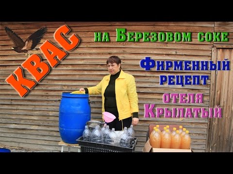 Cách làm kvass từ nhựa cây bạch dương - 5 công thức nấu ăn từng bước