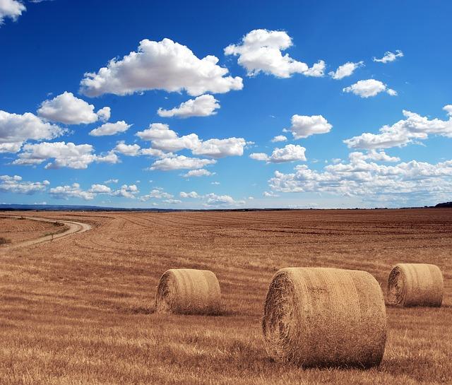 Haystacks đẹp