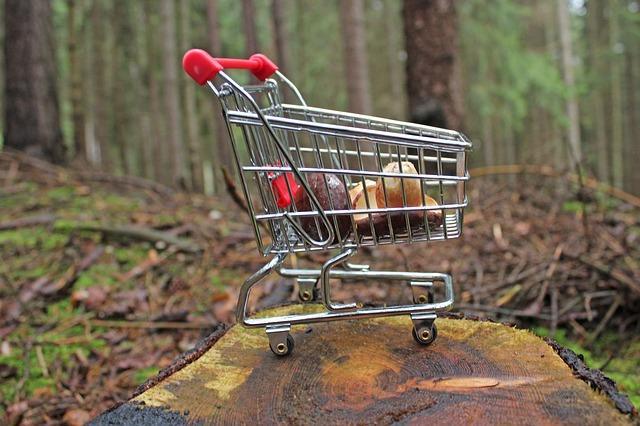 Beautiful photo of a basket with mushrooms