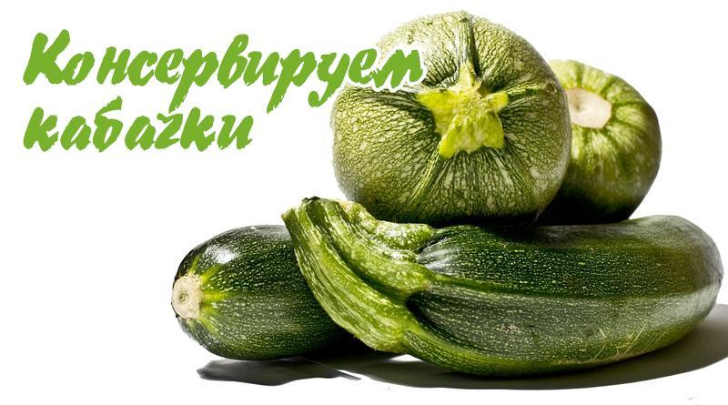 Hvordan bevare courgette til vinteren