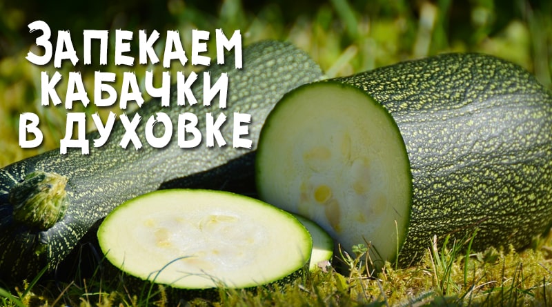 Zucchini i hagen