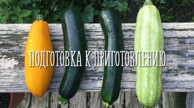 Ulike typer courgette